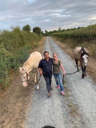 Ecuries De Bellevue, Pension pour Chevaux à Cantenay-Épinard