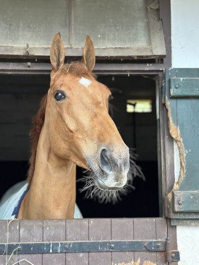 Haras De La Belletière, Centre Equestres à Mélicourt