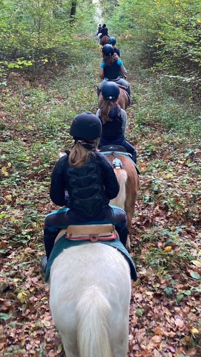 Ecuries De Bord, Centre Equestres à Louviers