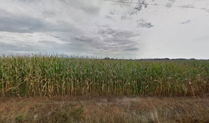 Le Carrousel Aquitain, Centre Equestres à Malaussanne