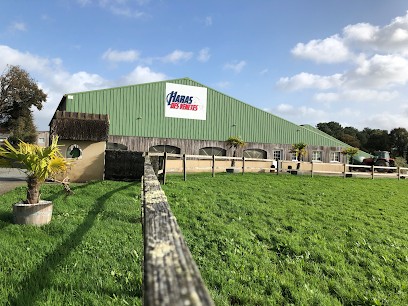 Écurie, élevage Et Pension Pour Chevaux - Haras Des Vénètes, Pension pour Chevaux à Bignan