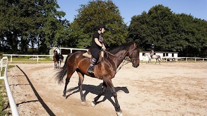 Ucpa Sport Loisirs Du Finistere, Centre Equestres à Quimper