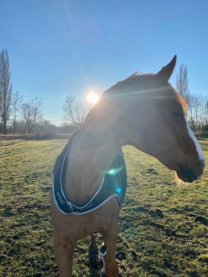 S H R U ST HUBERT, Centre Equestres à Eckbolsheim