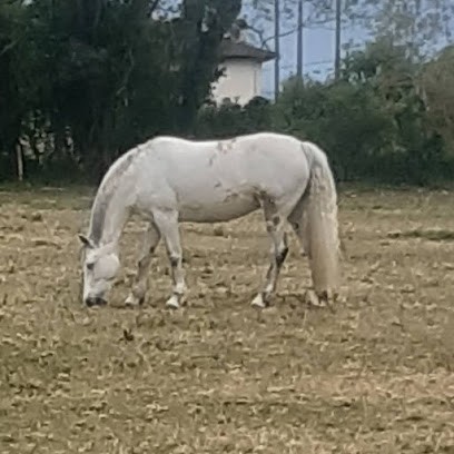 L'Eperon Du Buron, Centre Equestres à Chis