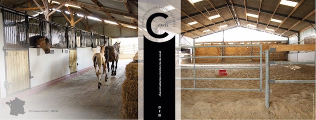 Écurie De Cavel, Pension pour Chevaux à Chavagnes-en-Paillers