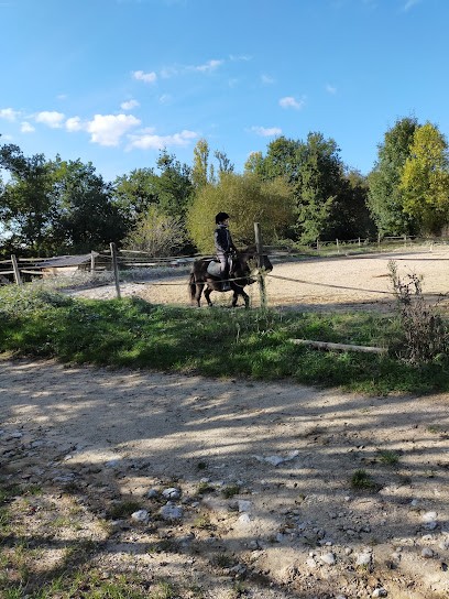 PONEY CLUB DE STE FOY LA GRANDE, Centre Equestres aux Lèves-et-Thoumeyragues