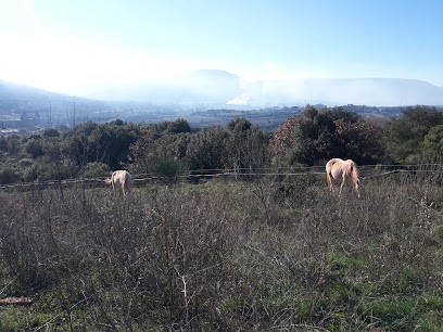 Les Sabots du Salagou, Pension pour Chevaux au Bosc
