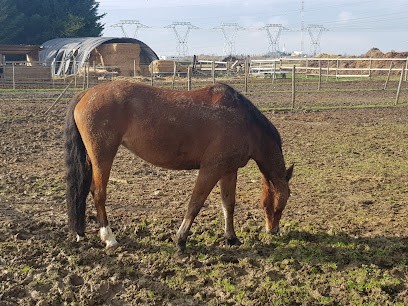 Haras Du Bois Courtin HBC, Centre Equestres à Villejust