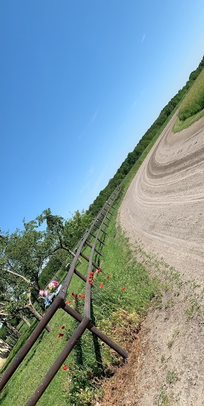 Ecurie Busset Thierry, Centre Equestres à Chézy