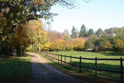 Écurie de la Cance, Pension pour Chevaux à Boucé