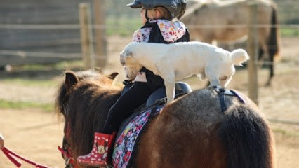 Ecurie Finca Del Sol, Centre Equestres à Saint-Nazaire