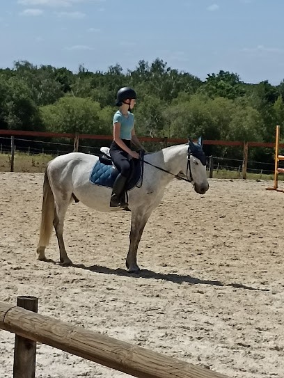Pony Club Atoucrin, Centre Equestres à La Chapelle-d'Aligné