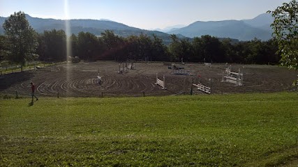Les écuries du Rousine, Pension pour Chevaux à Tallard