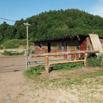 Ecurie Et Service De L'Ailleursland, Pension pour Chevaux à Philippsbourg