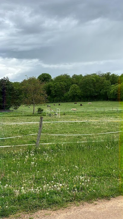 Haras Des Mauritaines, Pension pour Chevaux à Is-sur-Tille
