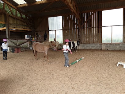 Ecurie Le Petit Torcy, Centre Equestres à Ourville-en-Caux