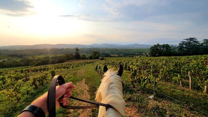Écuries Claude Vermorel, Centre Equestres à Pommiers