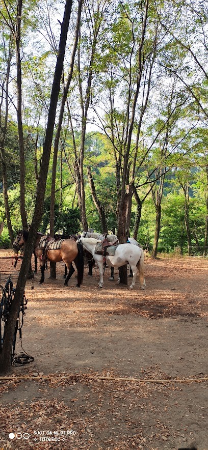 Centre Equestre De Chassournet, Centre Equestres à Vernon
