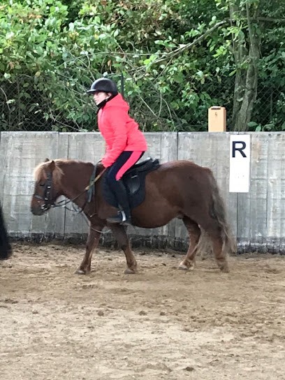 PONEY CLUB D AMIENS, Centre Equestres à Salouël