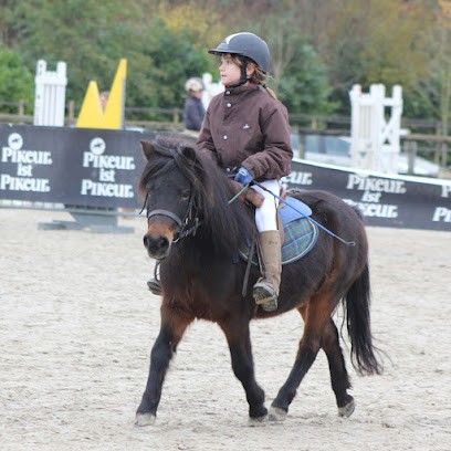ECURIES DES GRANDS ROBINEAUX, Centre Equestres à Perrusson