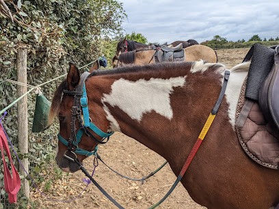 Ranch des Huttes, Centre Equestres à Saint-Denis-d'Oléron