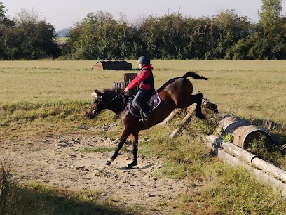 LES ECURIES DU MIRADOR, Pension pour Chevaux à Matignicourt-Goncourt