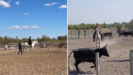 ELEVAGE DE LA LOUA, Pension pour Chevaux à Aigues-Mortes