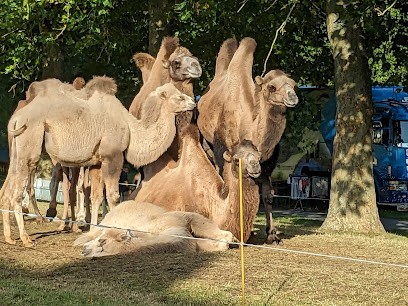 Centre équestre de Frelinghien, Centre Equestres à Frelinghien