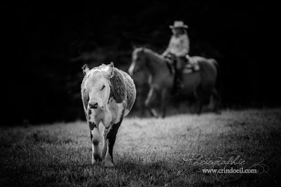West Wind Ranch, Pension pour Chevaux à Bubry