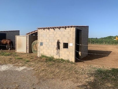 Equestrian Center Team Saint-Thibery, Centre Equestres à Saint-Thibéry