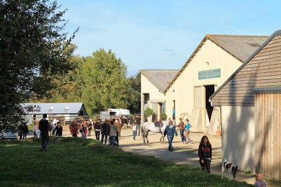 André Sport Équestre, Centre Equestres à Tinténiac