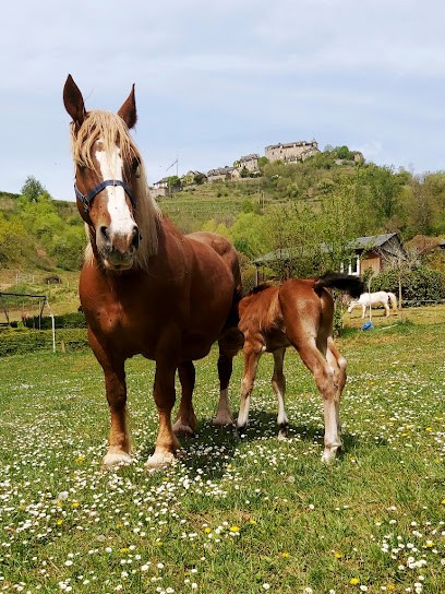 La Frégière Riding, Centre Equestres à Clairvaux-d'Aveyron