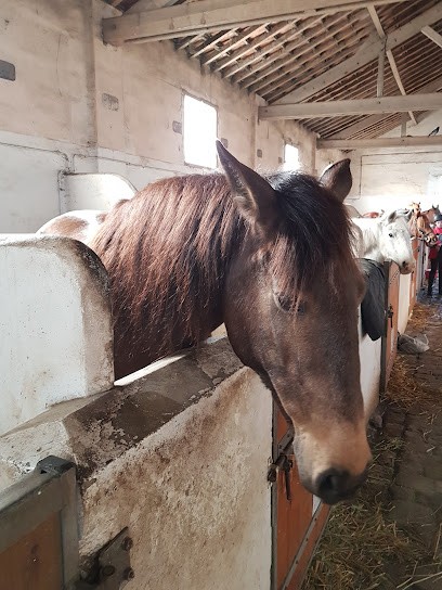 ECURIES DE LA FERME D ERAGNY, Centre Equestres à Herblay