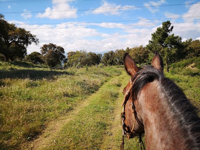 Le Ranch Du Lac De Saint Cassien, Centre Equestres à Montauroux