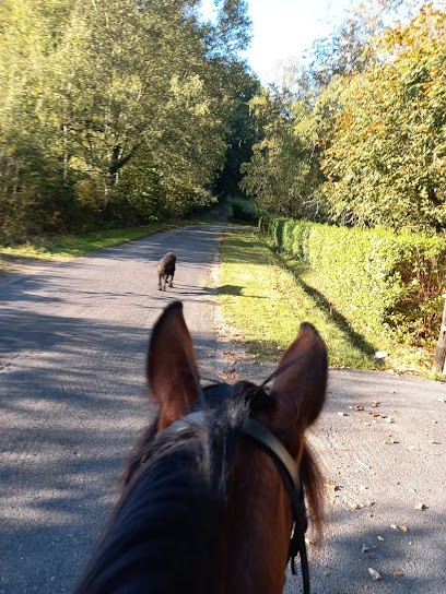 Stables From Gigondas, Centre Equestres à Isle