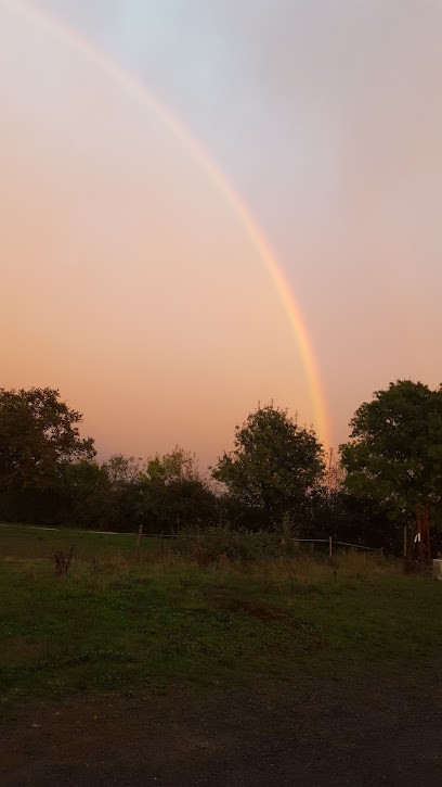 EARL LA FERME DU PETIT BOUT, Centre Equestres à Yzernay