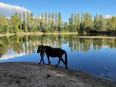 Ecurie De Rossinante, Centre Equestres à Saint-Denis-en-Val