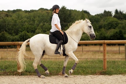 Les Écuries De Connivence, Pension pour Chevaux à Guenrouet
