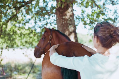 L'étrier Luganais, Centre Equestres à Lugan