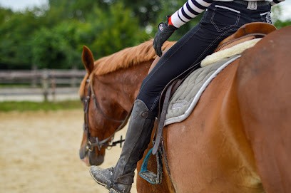 Les Écuries De La Rêverie, Pension pour Chevaux à Beaucouzé