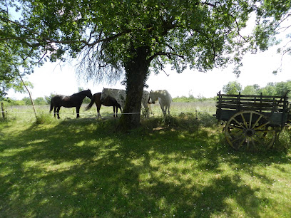 Ferme Équestre Les Crins Du Col, Centre Équestre à Saint-Paul-Flaugnac