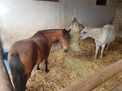 Horse Stables La Ferme Des Tilleuls, Centre Equestres à Saint-Ouen-l'Aumône