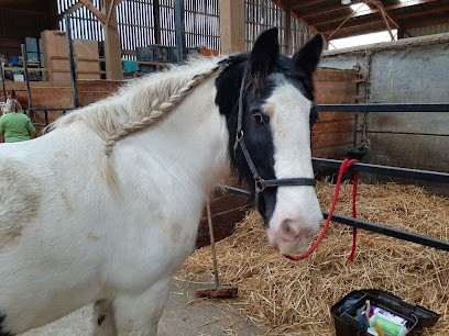 Equestrian Center De La Claire Fontaine, Centre Equestres à Hersin-Coupigny