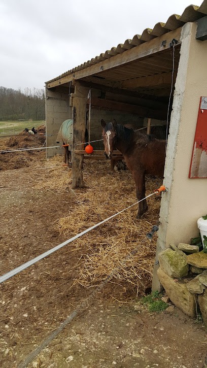 ECURIES DE NOAILLAC, Centre Equestres à Noaillac