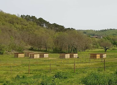 Les Chevaux d'Erruart, Pension pour Chevaux à Saint-Martin-le-Redon