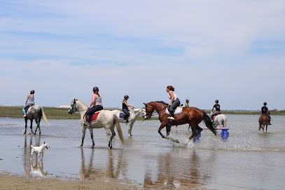 Les Écuries De La Plaine, Centre Equestres à Clansayes