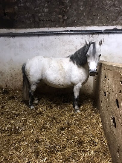 ECURIES VALLEE DE CHEVREUSE, Centre Equestres à Magny-les-Hameaux