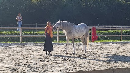 Stables D'arpege, Centre Equestres à Saint-Jean-Brévelay