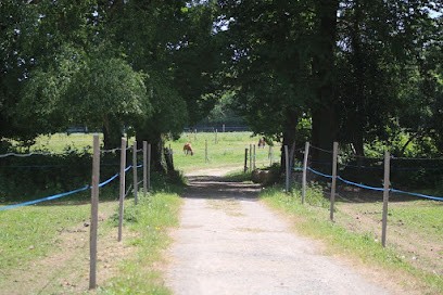 Ecurie Etoile, Centre Equestres à Bénodet