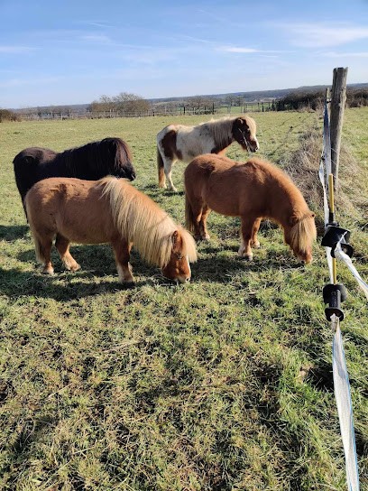 Equestrian Center Saint Julien, Centre Equestres à Saint-Julien-les-Villas